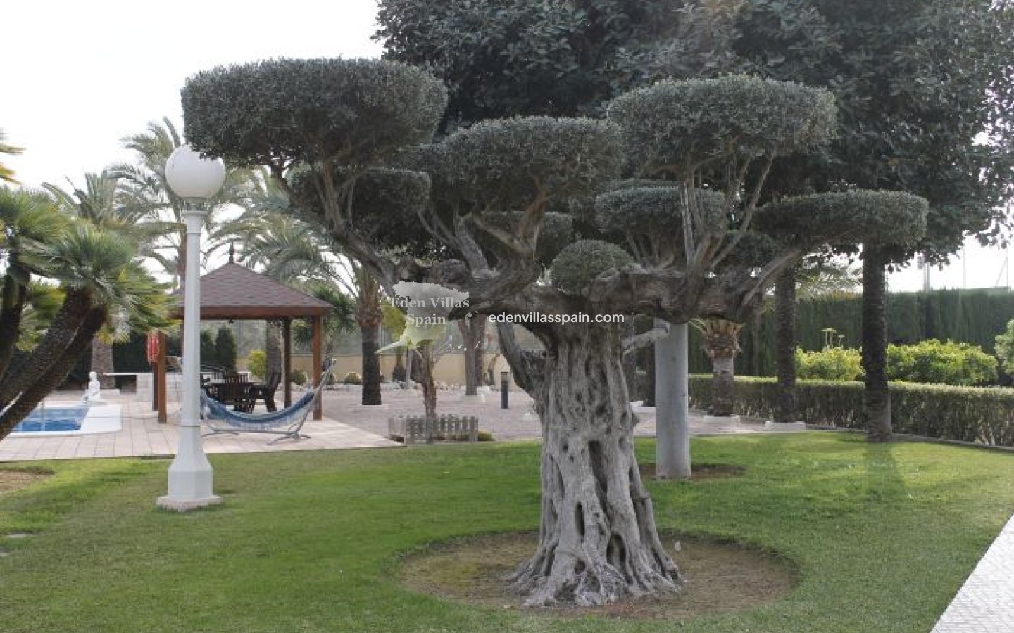 Segunda Mano - Casa de campo - Elche