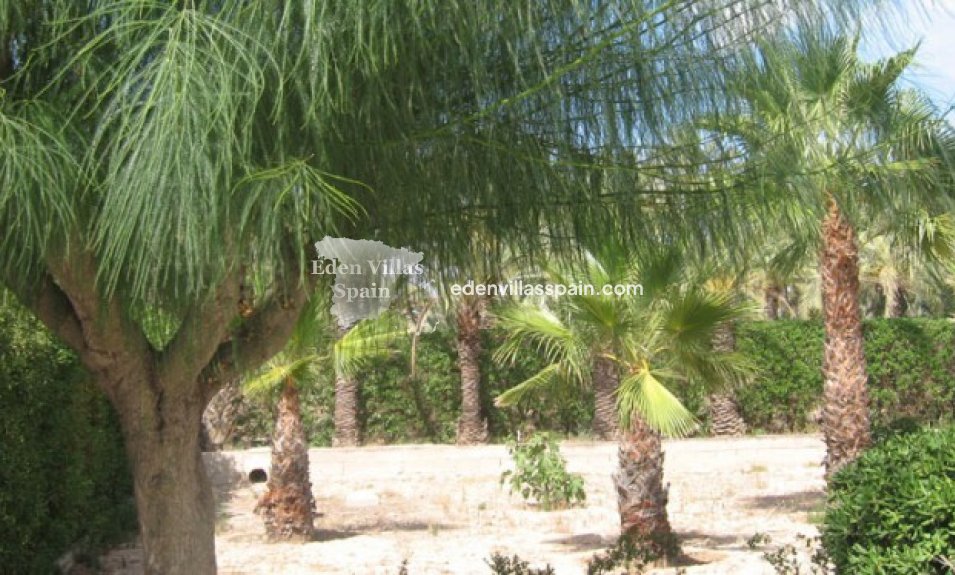 Segunda Mano - Casa de campo - Elche