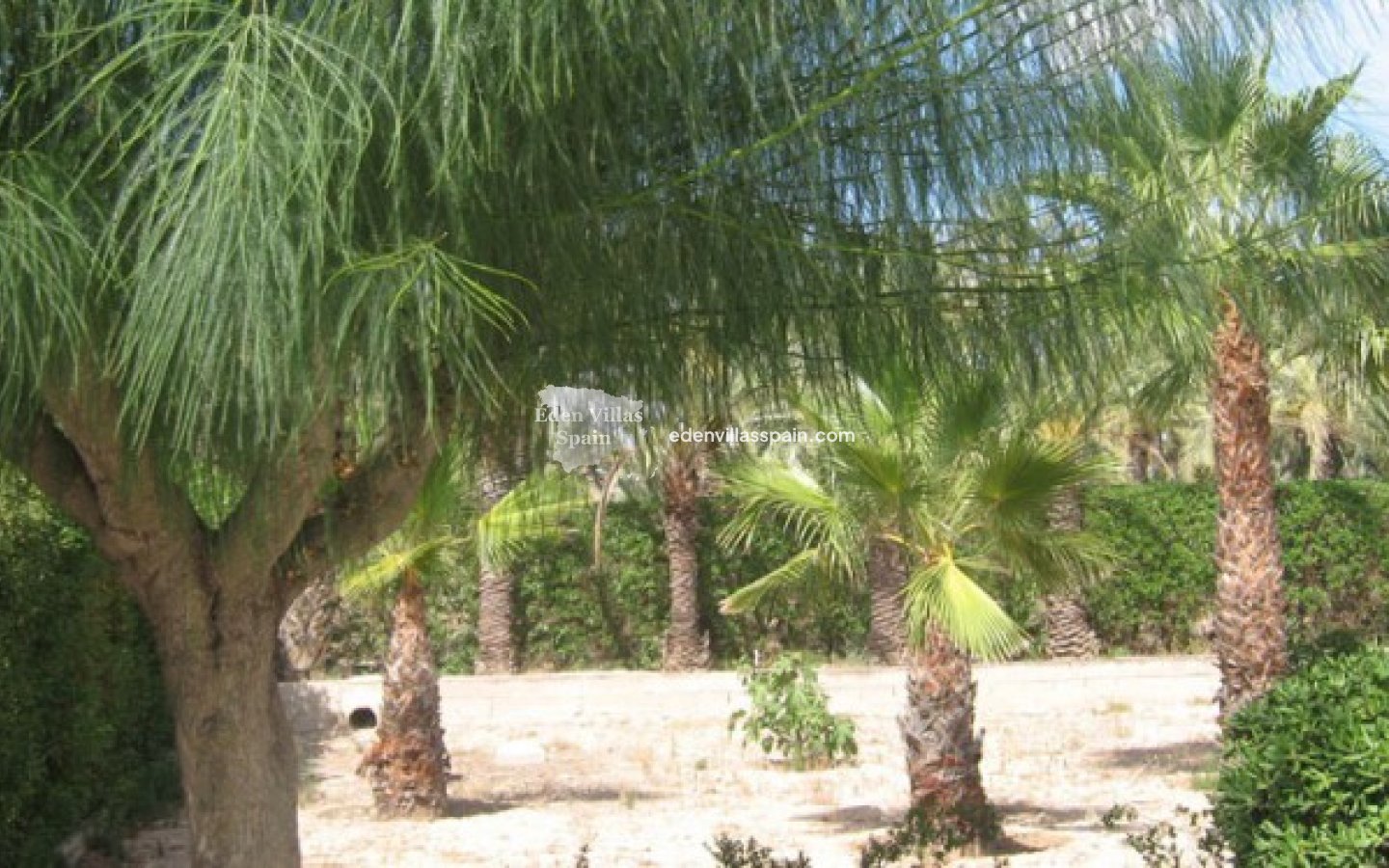 Segunda Mano - Casa de campo - Elche