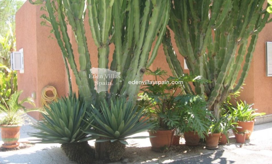 Segunda Mano - Casa de campo - Elche