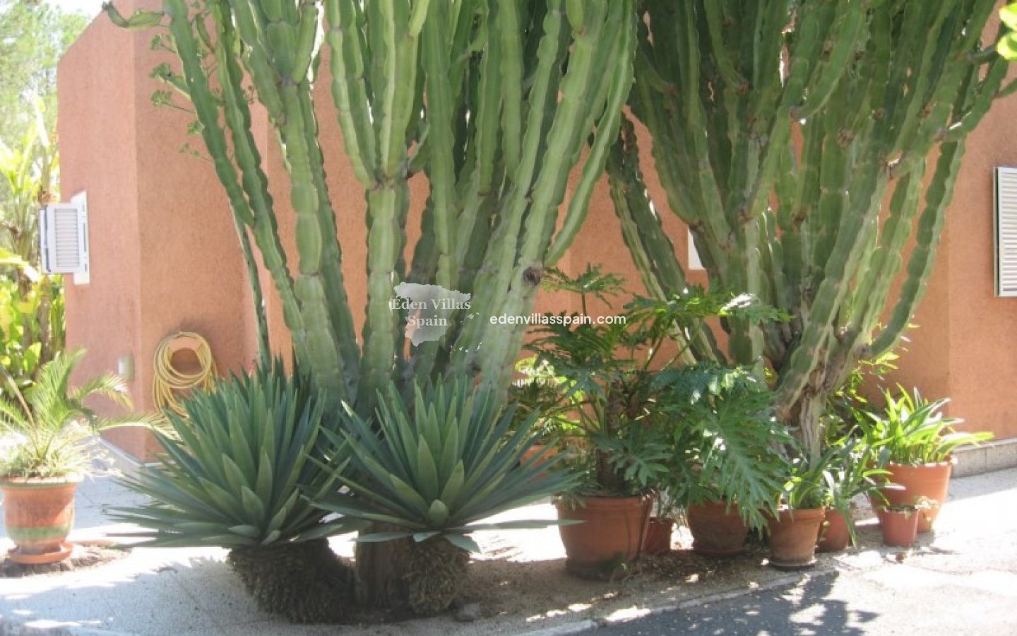 Segunda Mano - Casa de campo - Elche