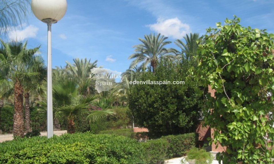 Segunda Mano - Casa de campo - Elche