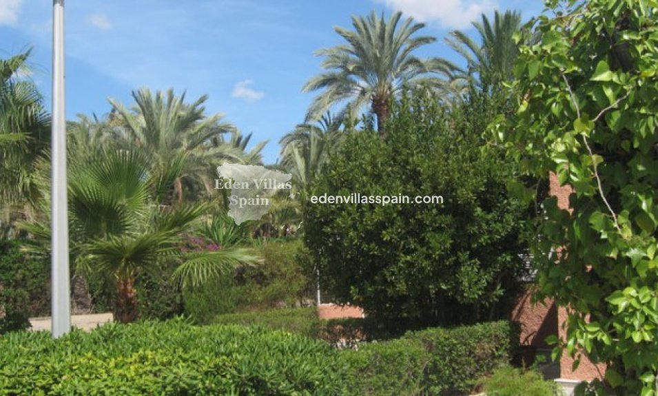 Segunda Mano - Casa de campo - Elche