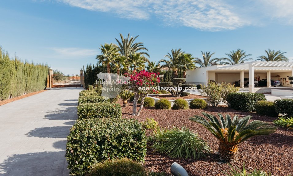 Segunda Mano - Casa de campo - Elche