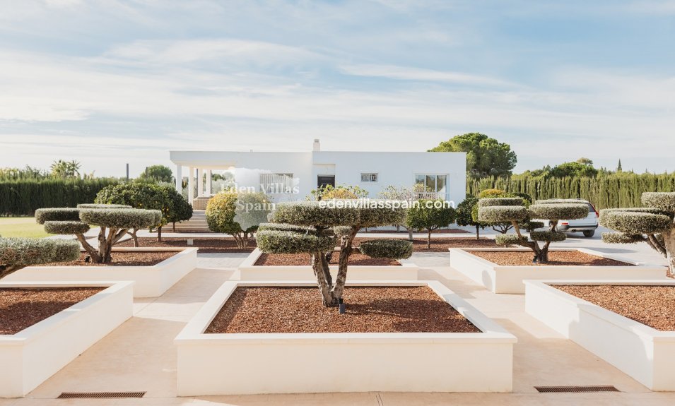 Segunda Mano - Casa de campo - Elche