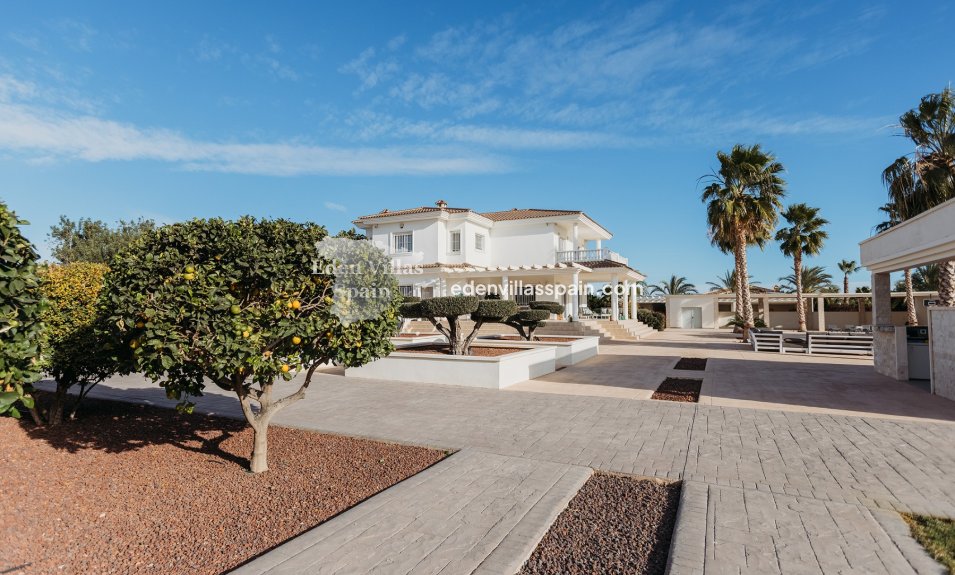 Segunda Mano - Casa de campo - Elche