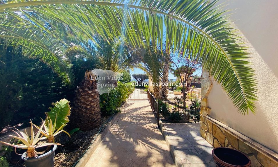 Segunda Mano - Casa de campo - Elche