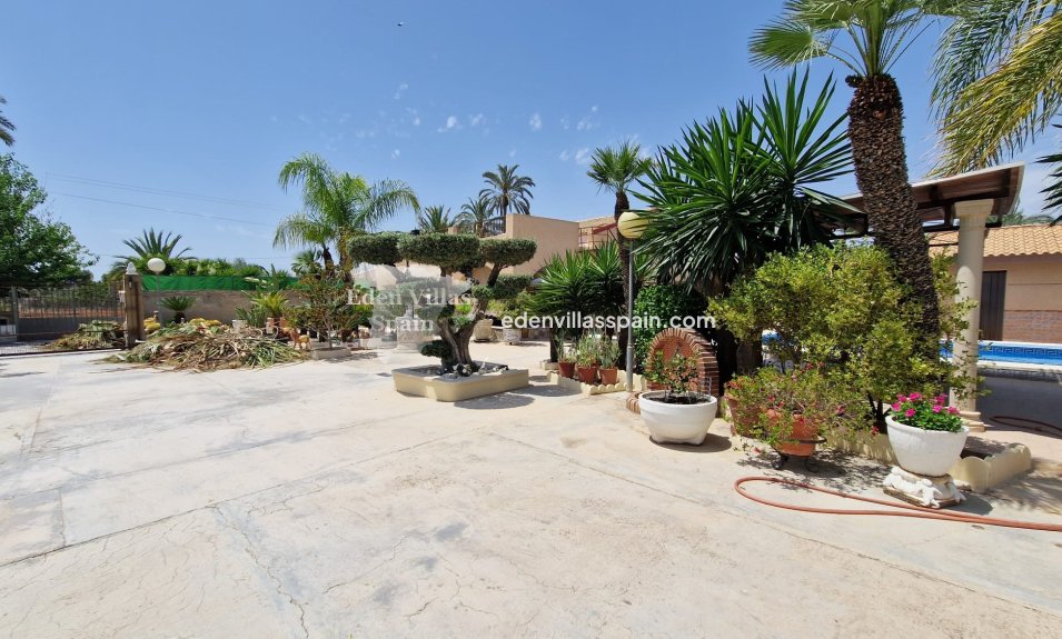 Segunda Mano - Casa de campo - Elche