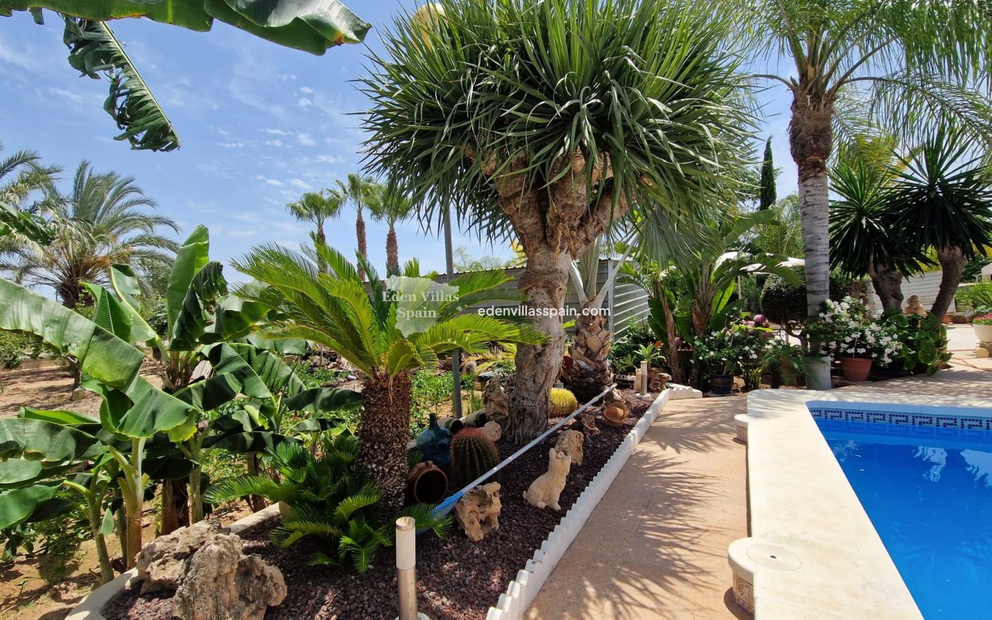 Segunda Mano - Casa de campo - Elche