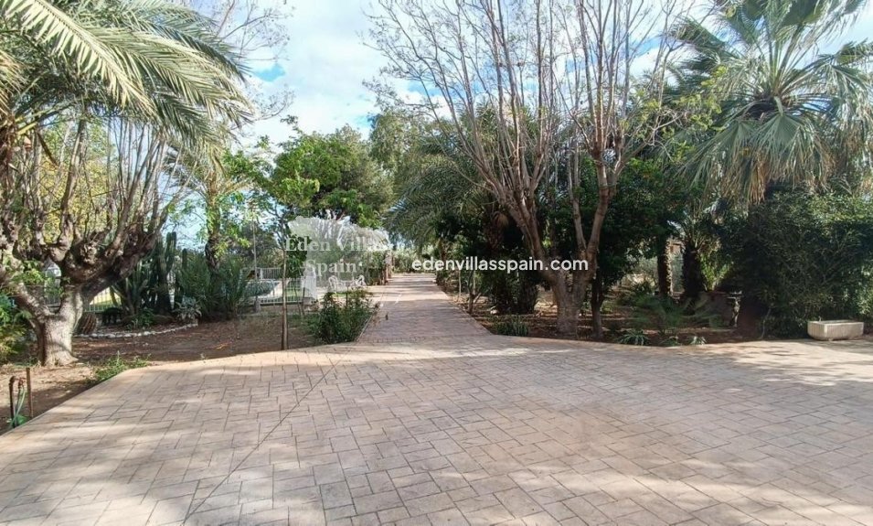 Segunda Mano - Casa de campo - Elche