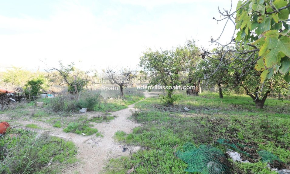 Segunda Mano - Casa de campo - Elche