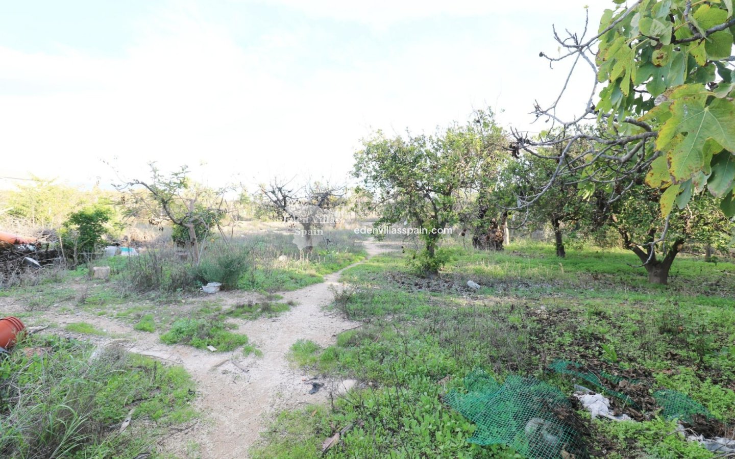 Segunda Mano - Casa de campo - Elche