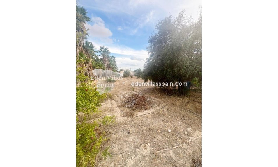 Segunda Mano - Casa de campo - Elche