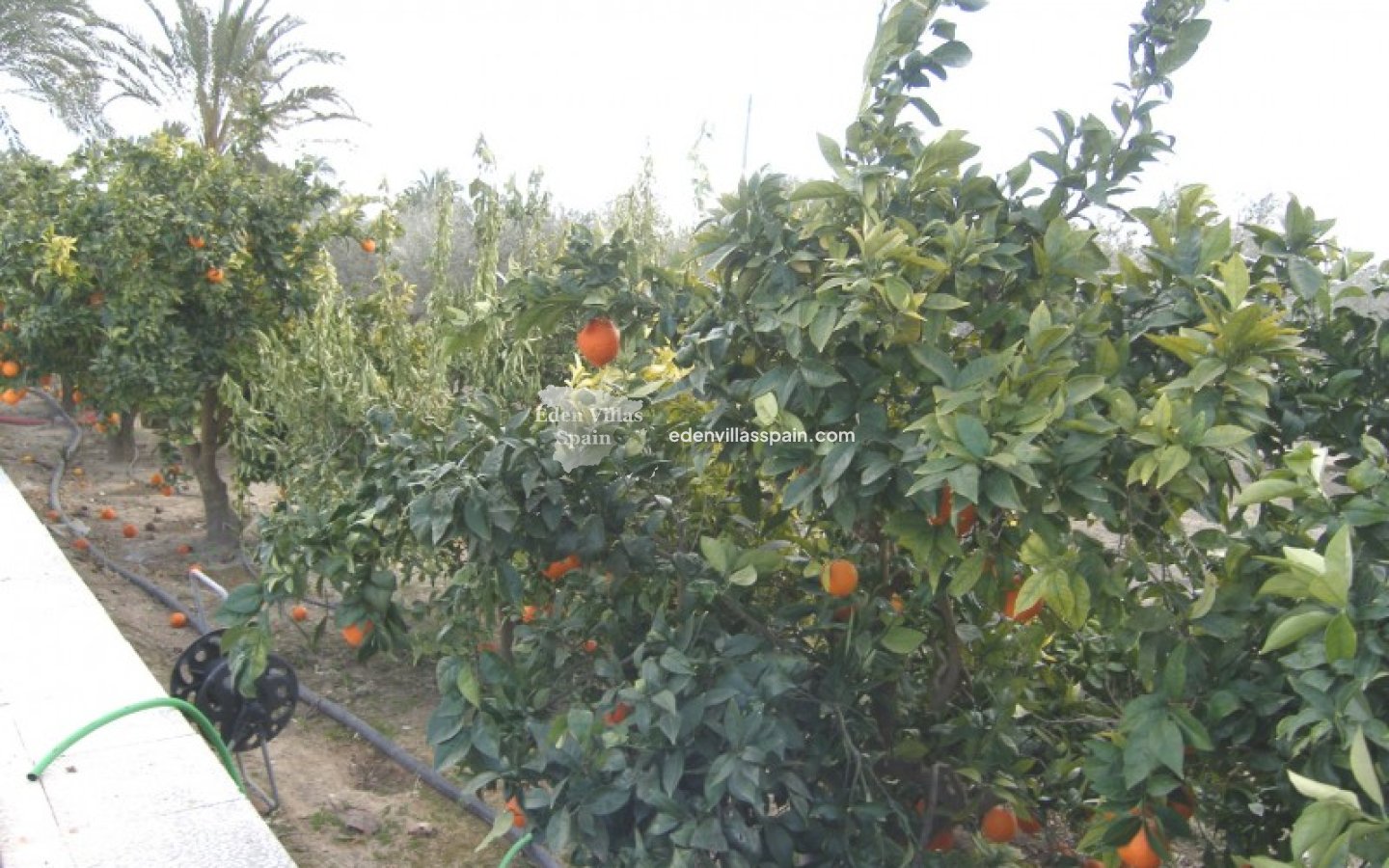 Segunda Mano - Casa de campo - Elche