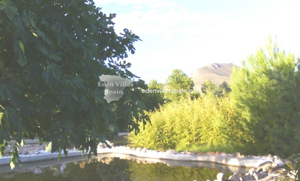 Segunda Mano - Casa de campo - Hondon de los Frailes