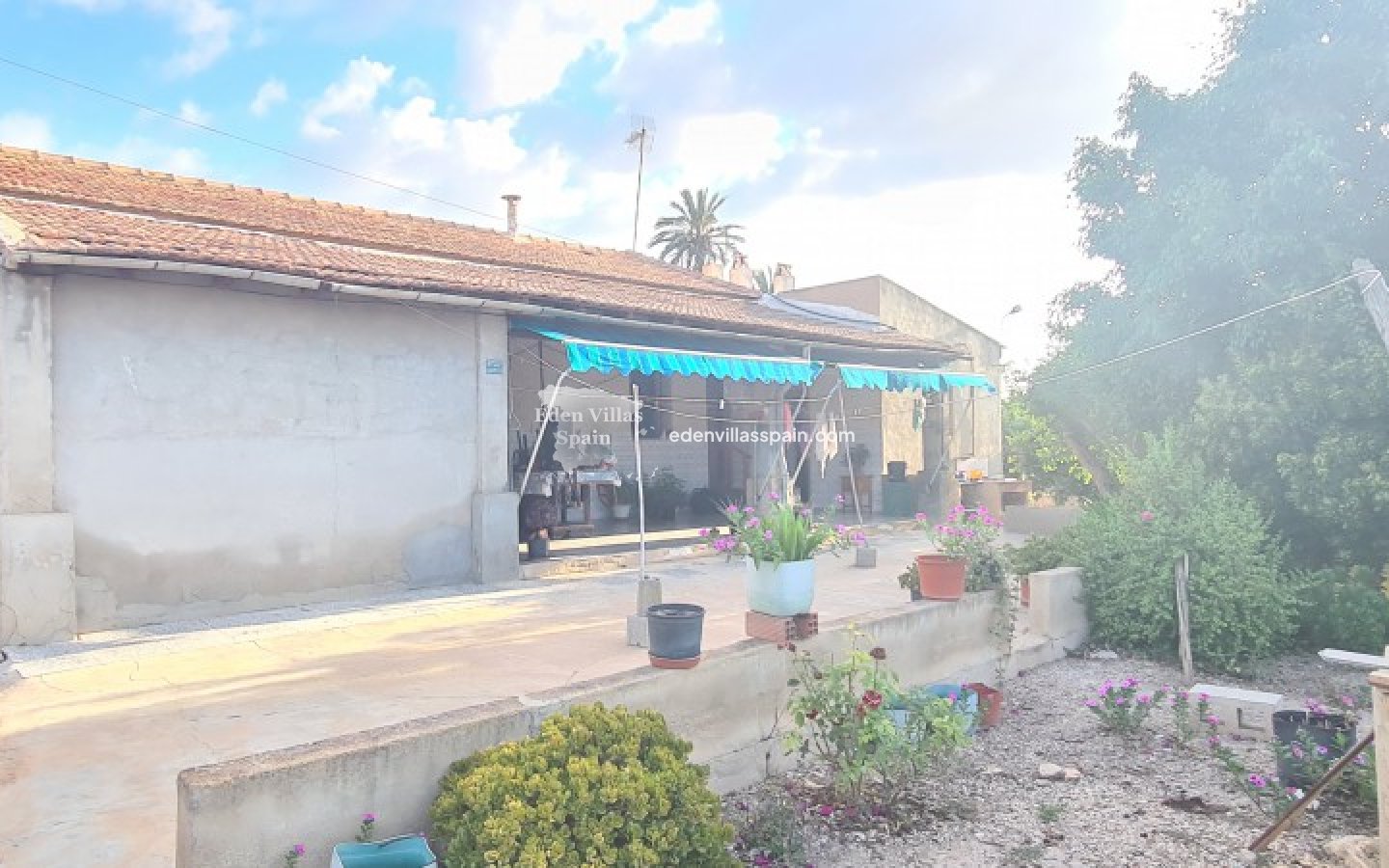 Segunda Mano - Casa de campo - La Marina