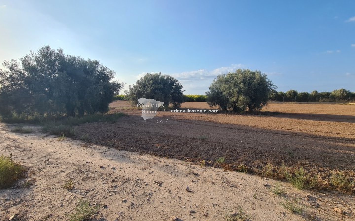 Segunda Mano - Casa de campo - La Marina