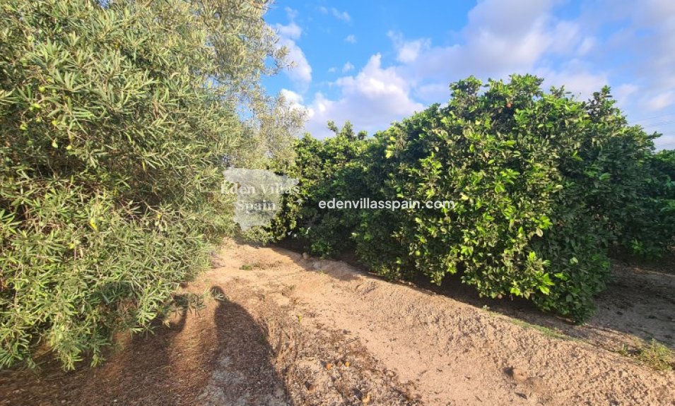 Segunda Mano - Casa de campo - La Marina