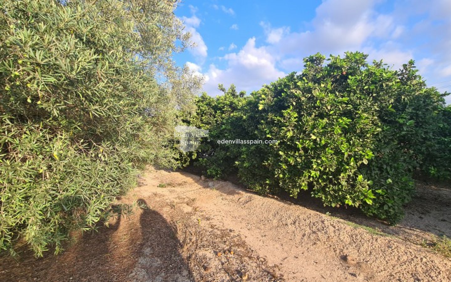 Segunda Mano - Casa de campo - La Marina