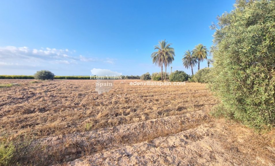 Segunda Mano - Casa de campo - La Marina