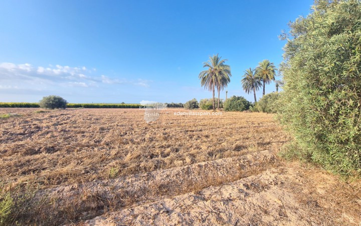 Segunda Mano - Casa de campo - La Marina