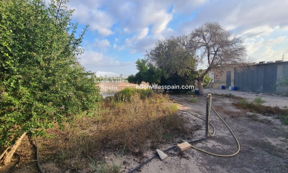 Segunda Mano - Casa de campo - La Marina