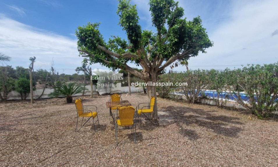 Segunda Mano - Casa de campo - La Marina