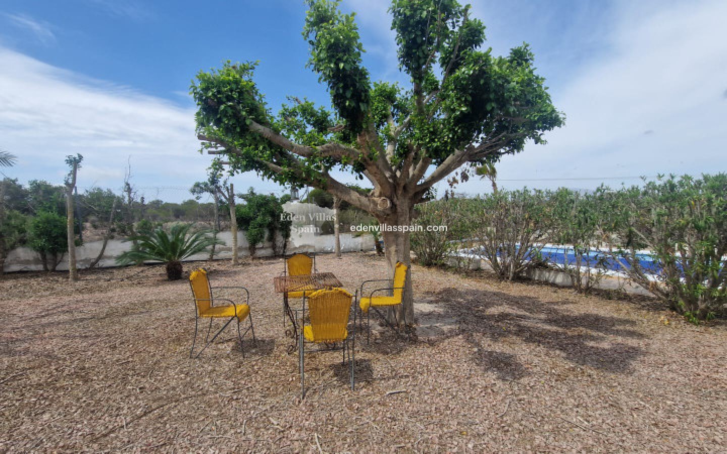 Segunda Mano - Casa de campo - La Marina