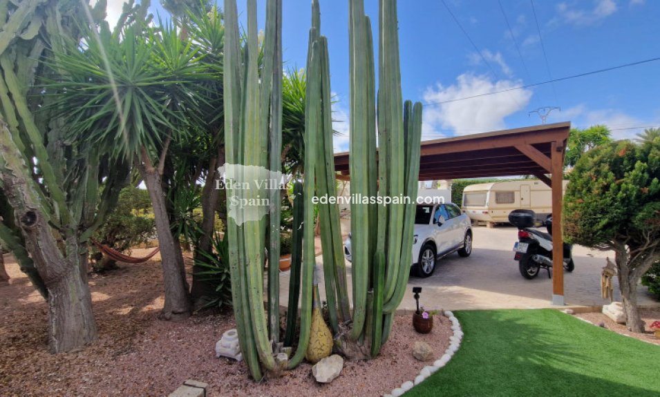 Segunda Mano - Casa de campo - La Marina