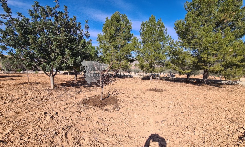 Segunda Mano - Casa de campo - La Romana