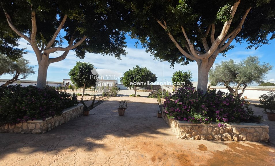 Segunda Mano - Casa de campo - San Fulgencio