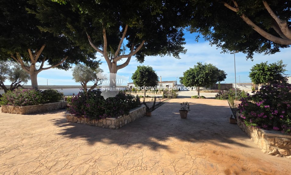 Segunda Mano - Casa de campo - San Fulgencio