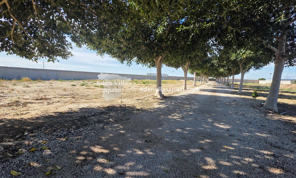 Segunda Mano - Casa de campo - San Fulgencio