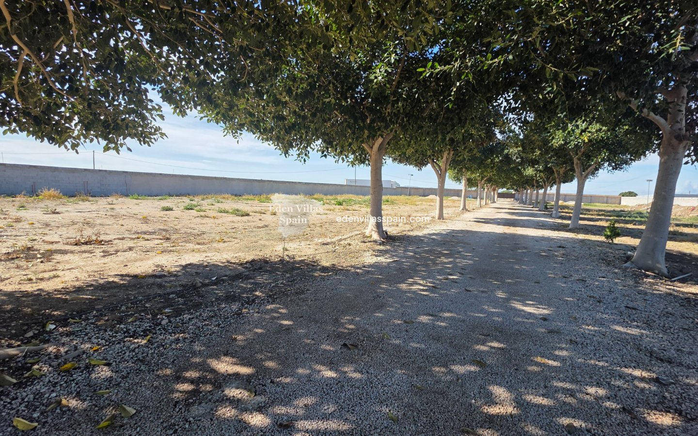 Segunda Mano - Casa de campo - San Fulgencio