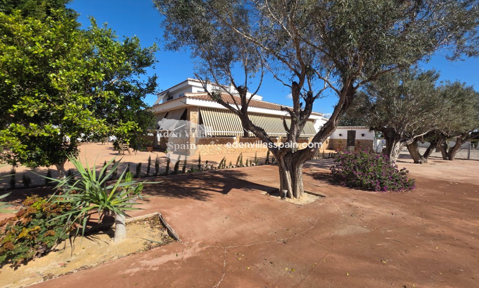 Segunda Mano - Casa de campo - San Fulgencio