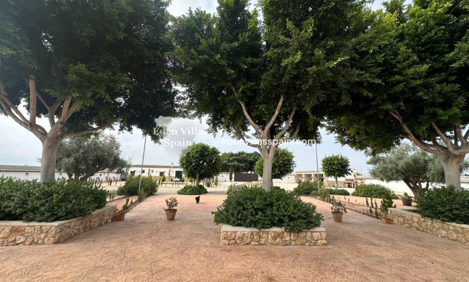 Segunda Mano - Casa de campo - San Fulgencio