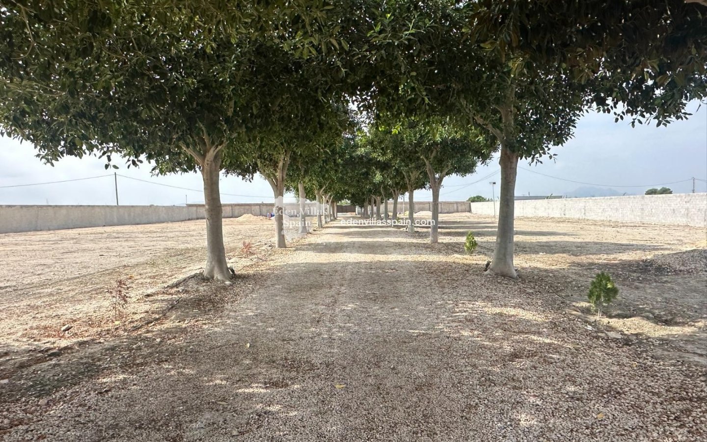 Segunda Mano - Casa de campo - San Fulgencio