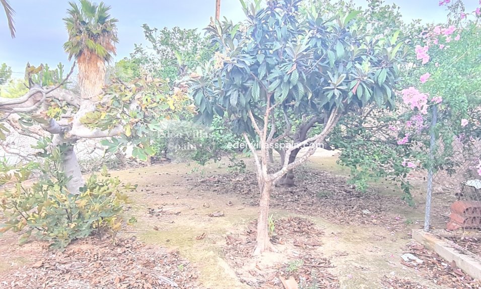 Segunda Mano - Casa de campo - Santa Pola