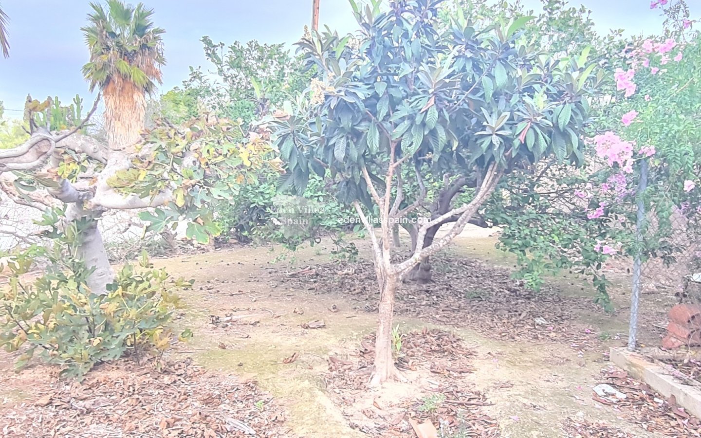 Segunda Mano - Casa de campo - Santa Pola