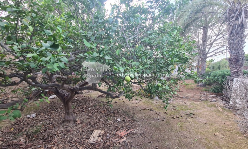 Segunda Mano - Casa de campo - Santa Pola