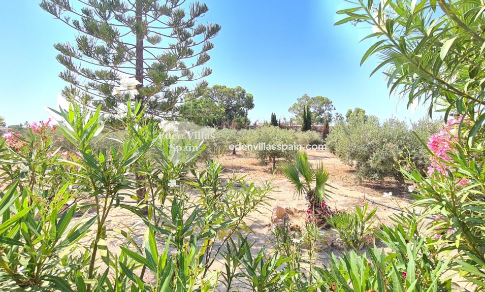 Segunda Mano - Casa de campo - Santa Pola