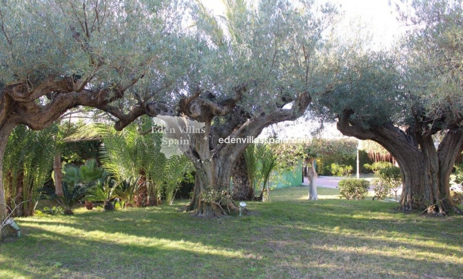 Segunda Mano - Chalet independiente - Santa Pola