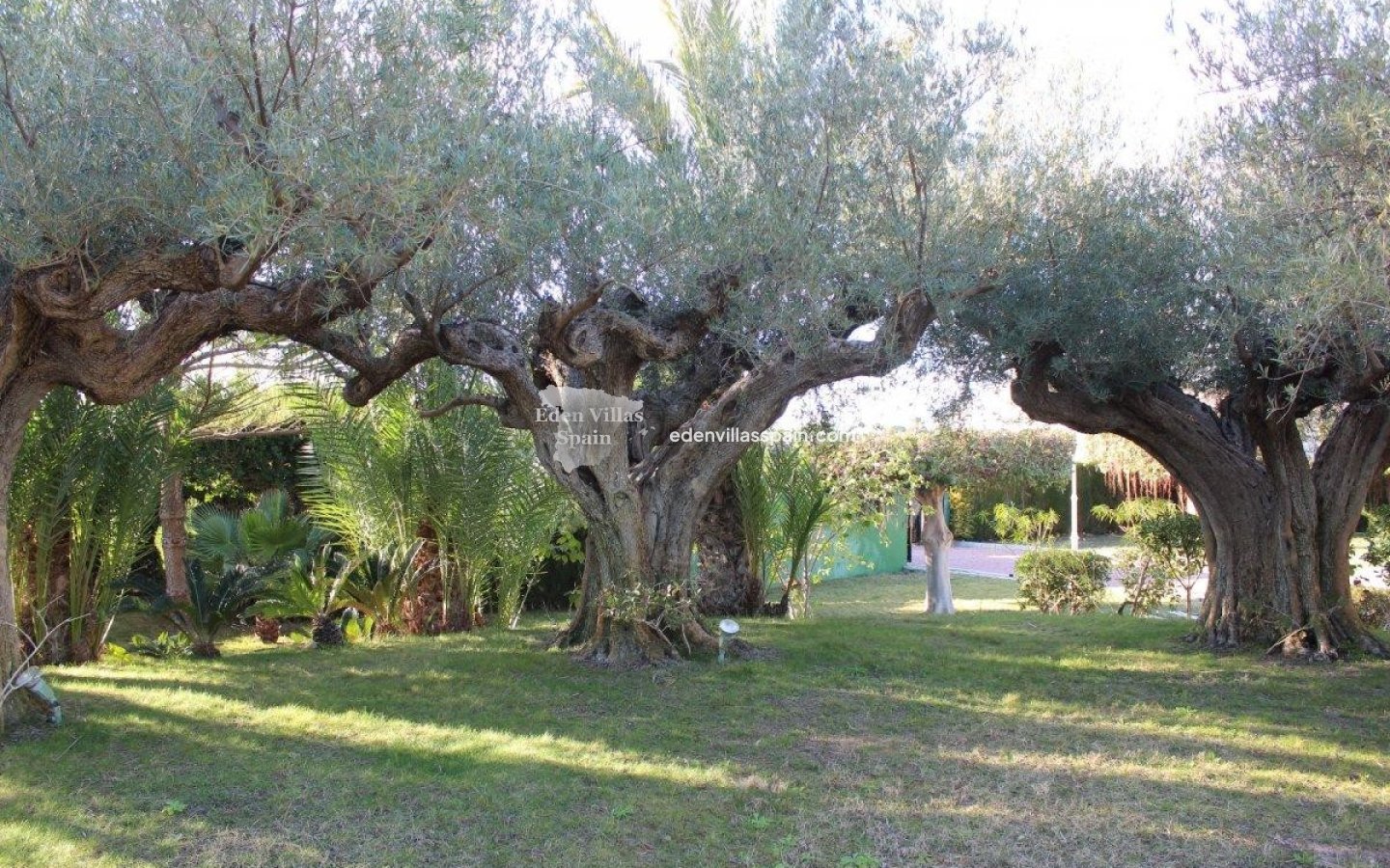 Segunda Mano - Chalet independiente - Santa Pola