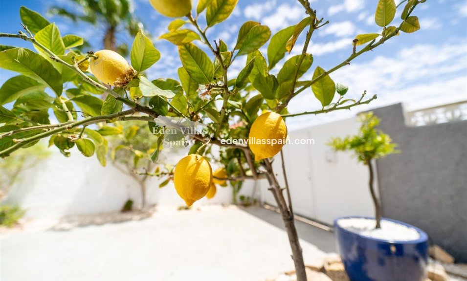 Segunda Mano - Chalet independiente - Torrevieja