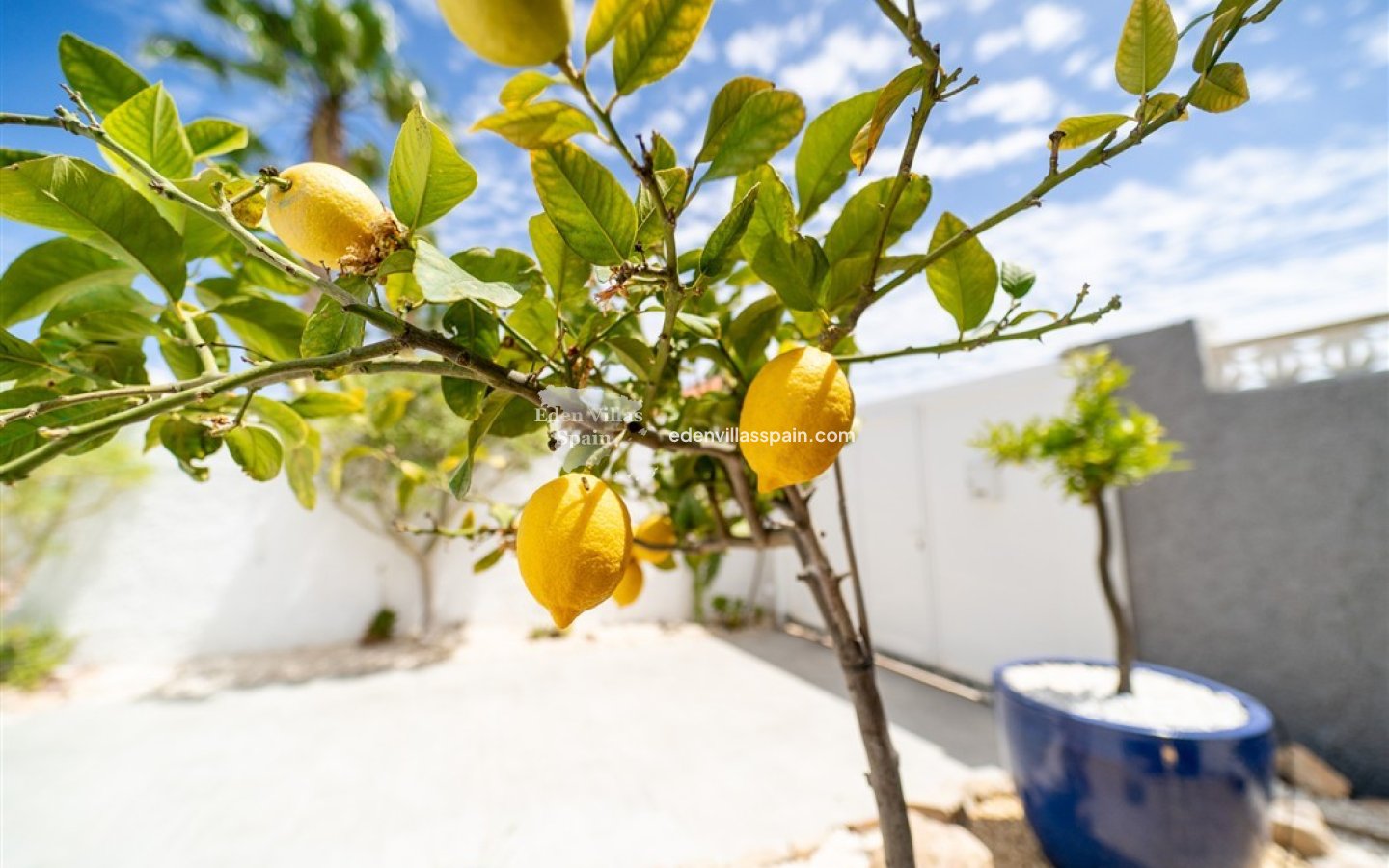 Segunda Mano - Chalet independiente - Torrevieja