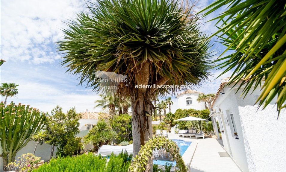 Segunda Mano - Chalet independiente - Torrevieja