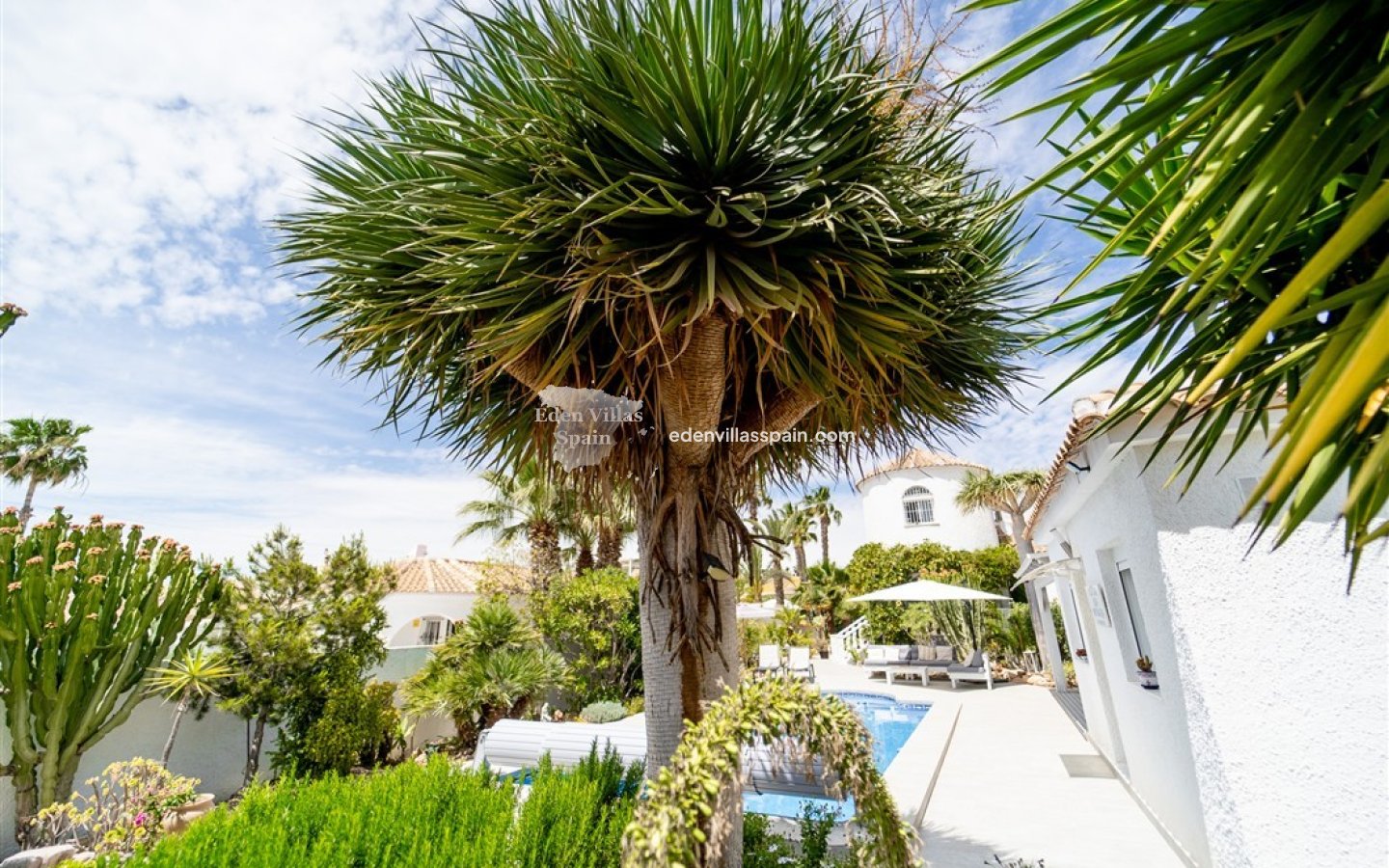 Segunda Mano - Chalet independiente - Torrevieja