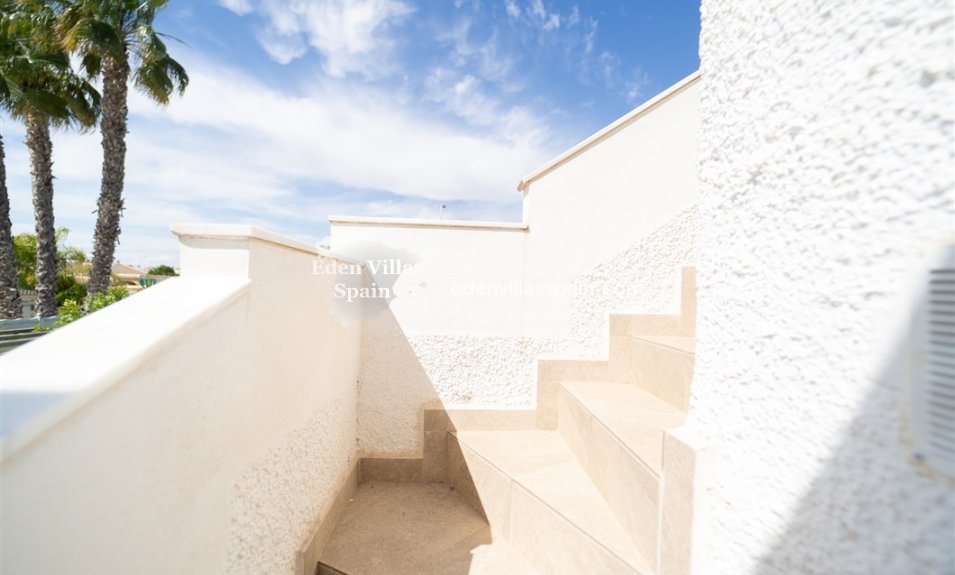 Segunda Mano - Chalet independiente - Torrevieja