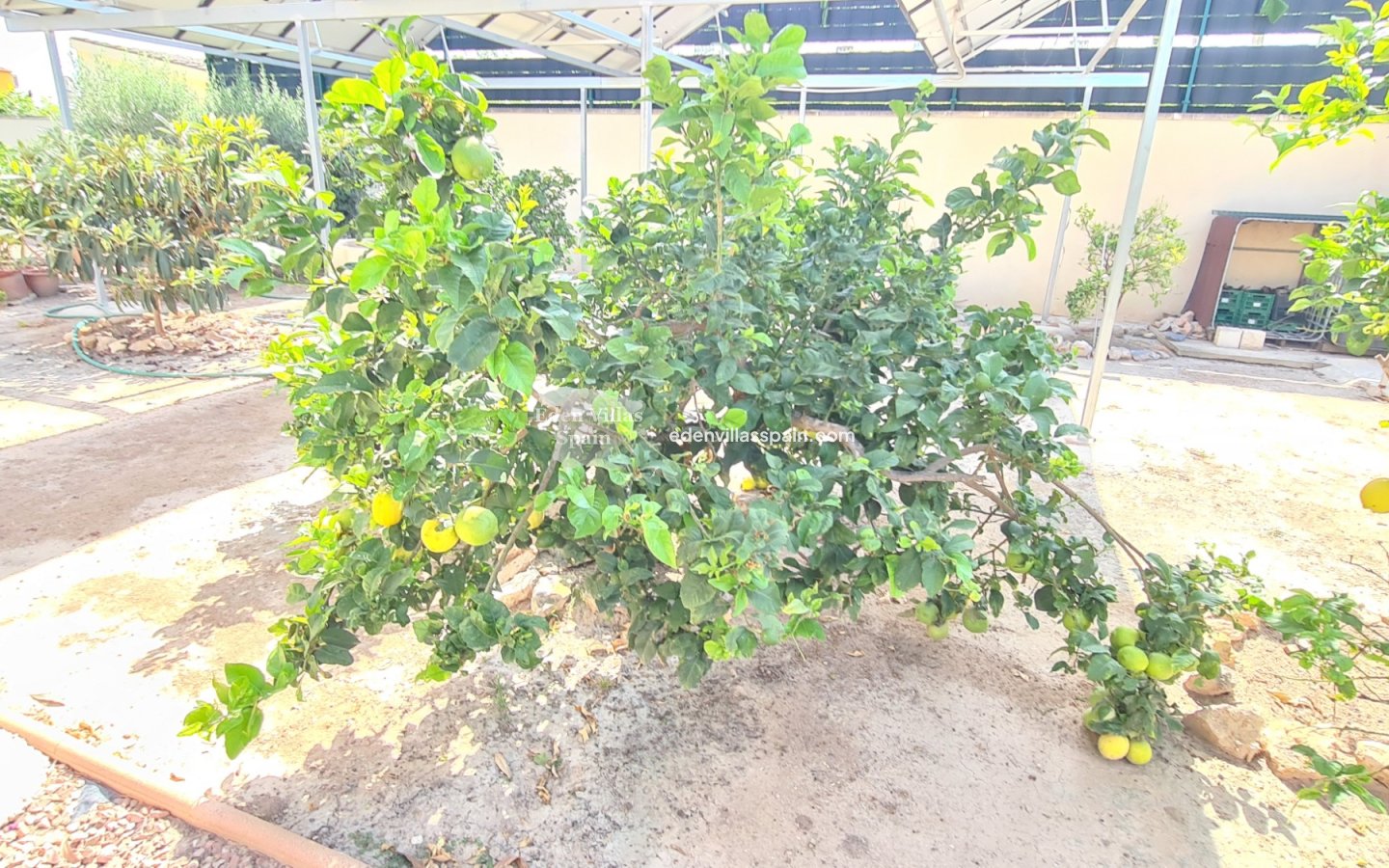 Segunda Mano - Villa costera - La Marina