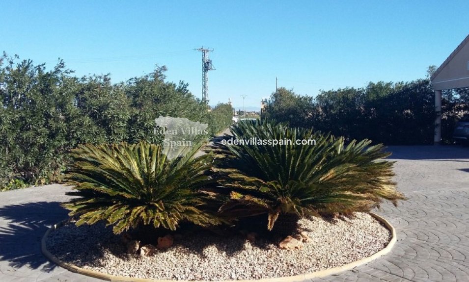 Wederverkoop - Landhuis - Daya Nueva